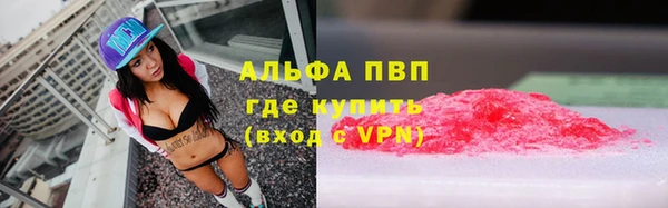 ешки Алексин