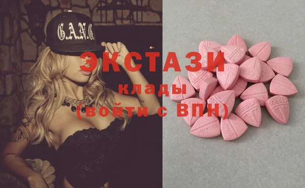 ешки Алексин