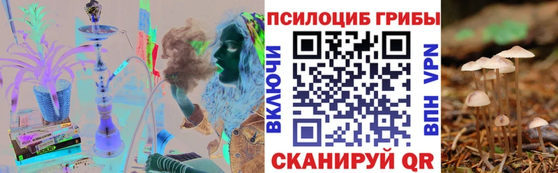 Псилоцибиновые грибы ЛСД  blacksprut ссылка  Домодедово  купить наркоту 